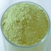 Alfalfa Leaves Powder Manufacturers